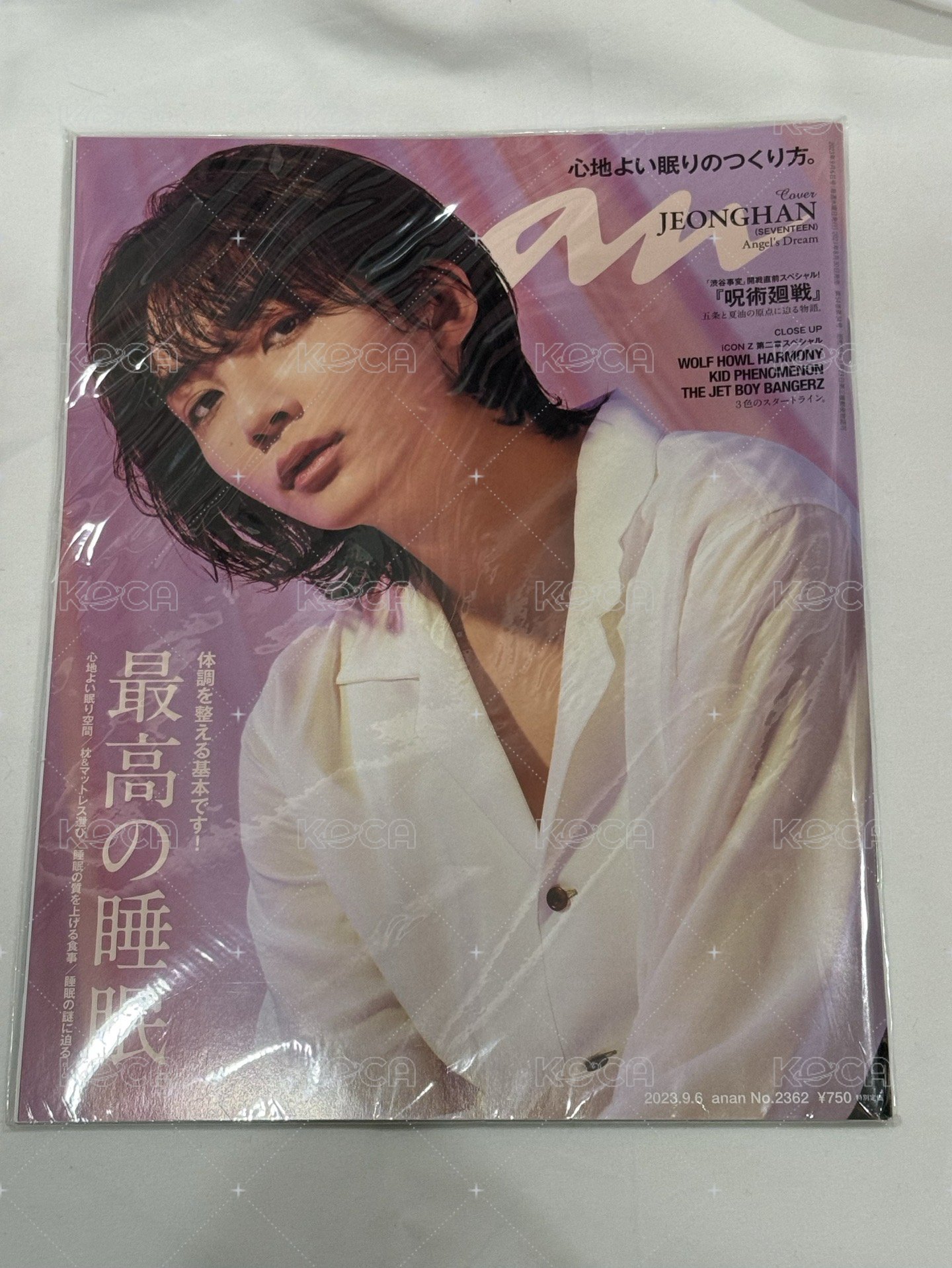 淨漢日雜