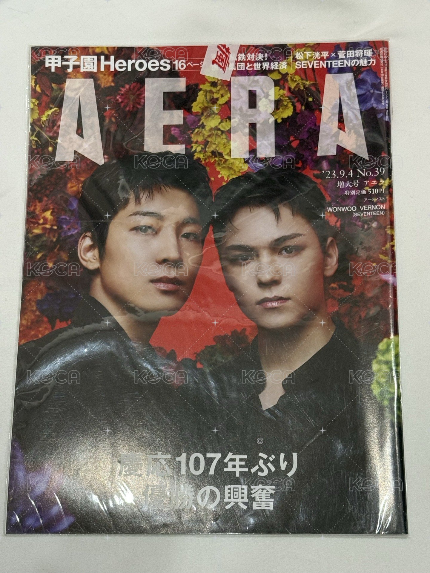 aera wonwoo x vernon 