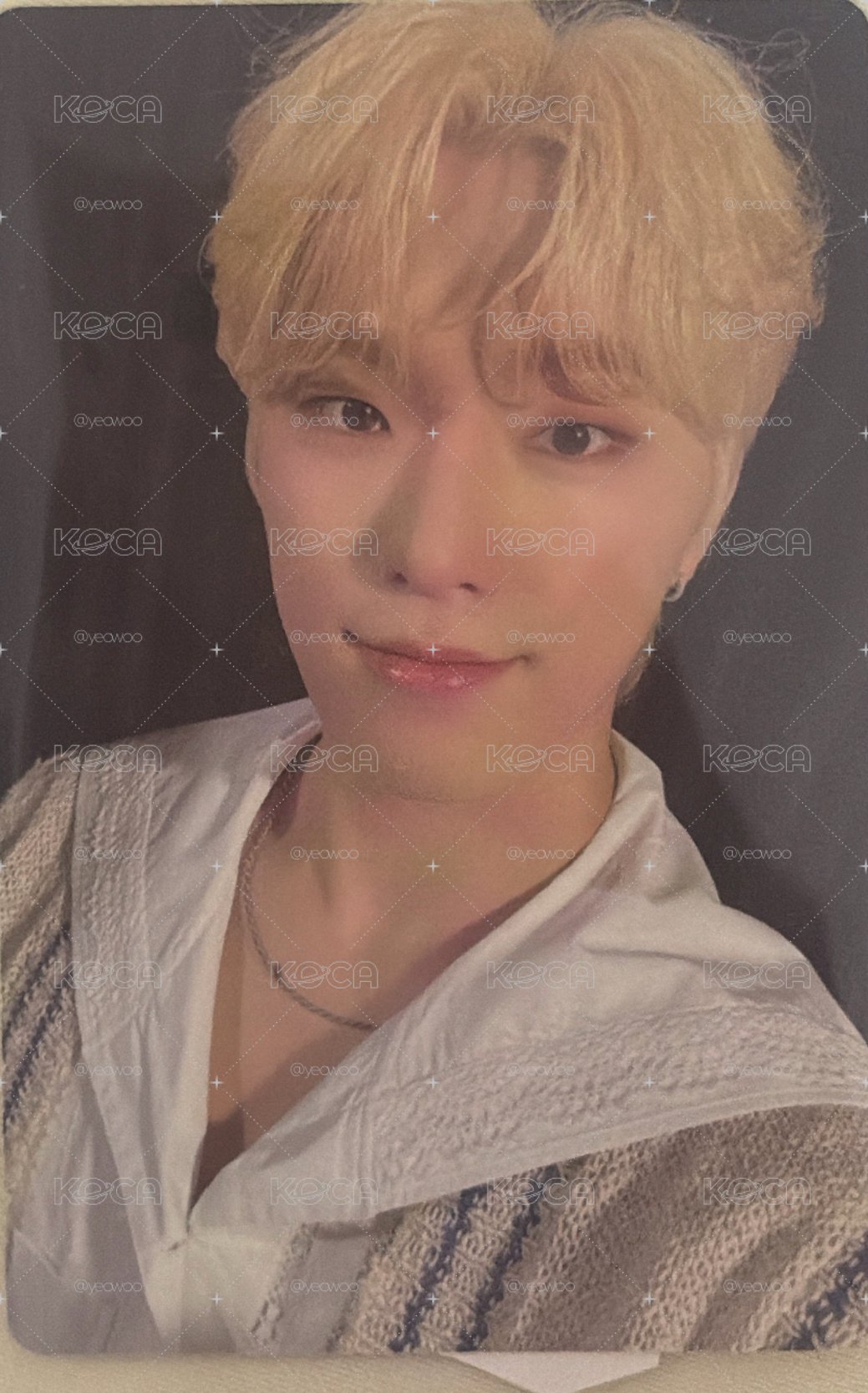 SEVENTEEN 2023克拉島小卡 含貼紙 李燦 DINO