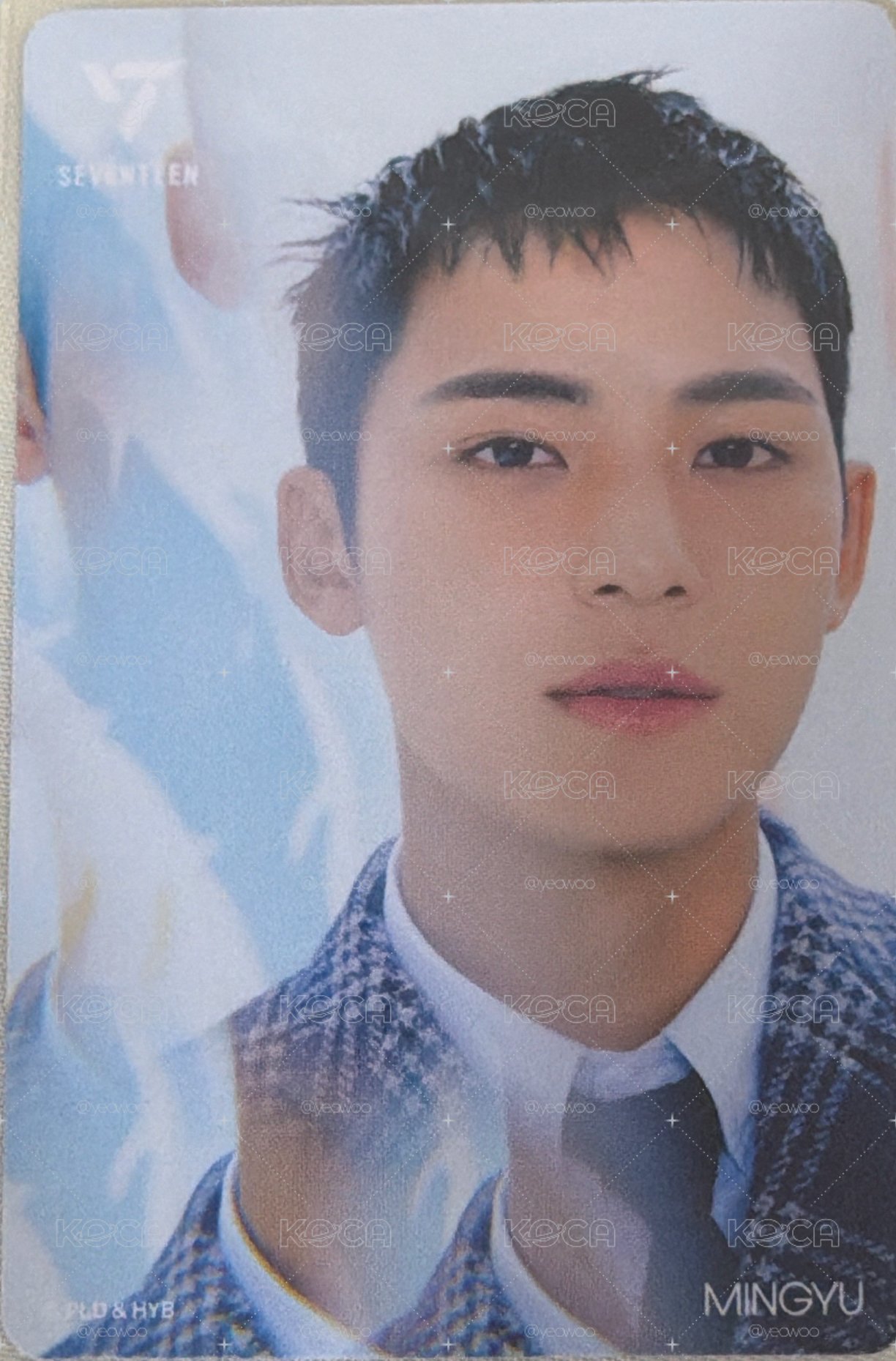 SEVENTEEN 精選專小卡 金珉奎