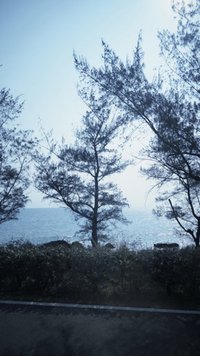 Yun