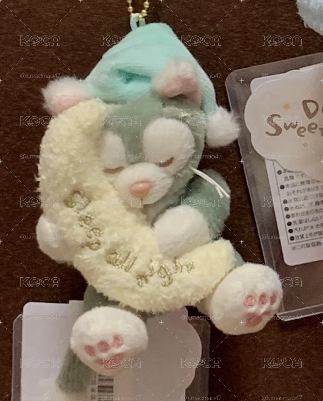 睡覺畫家貓