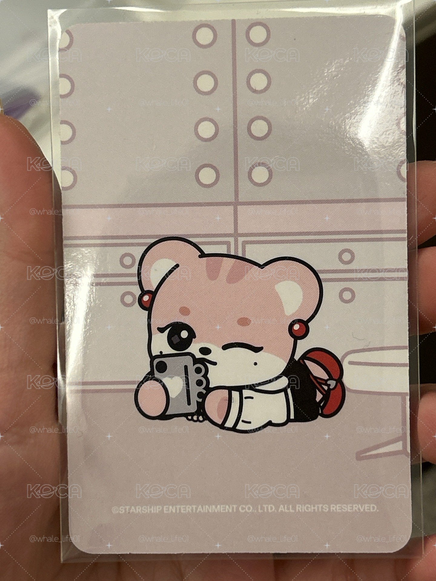 KM髮圈瑞