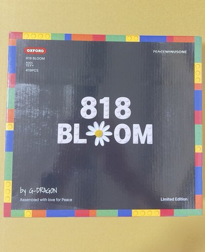 GD 樂高聯名積木