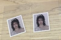 丹 迷四 白禮證件照