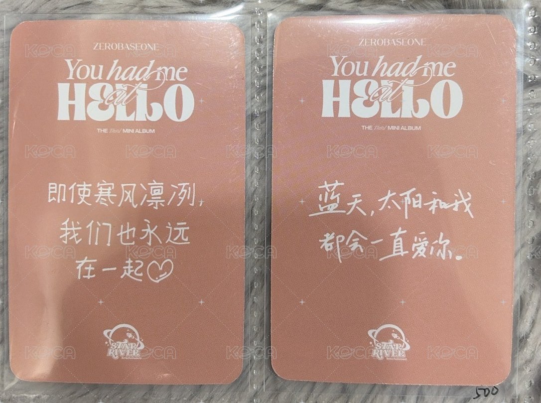 兔耳麥 中背