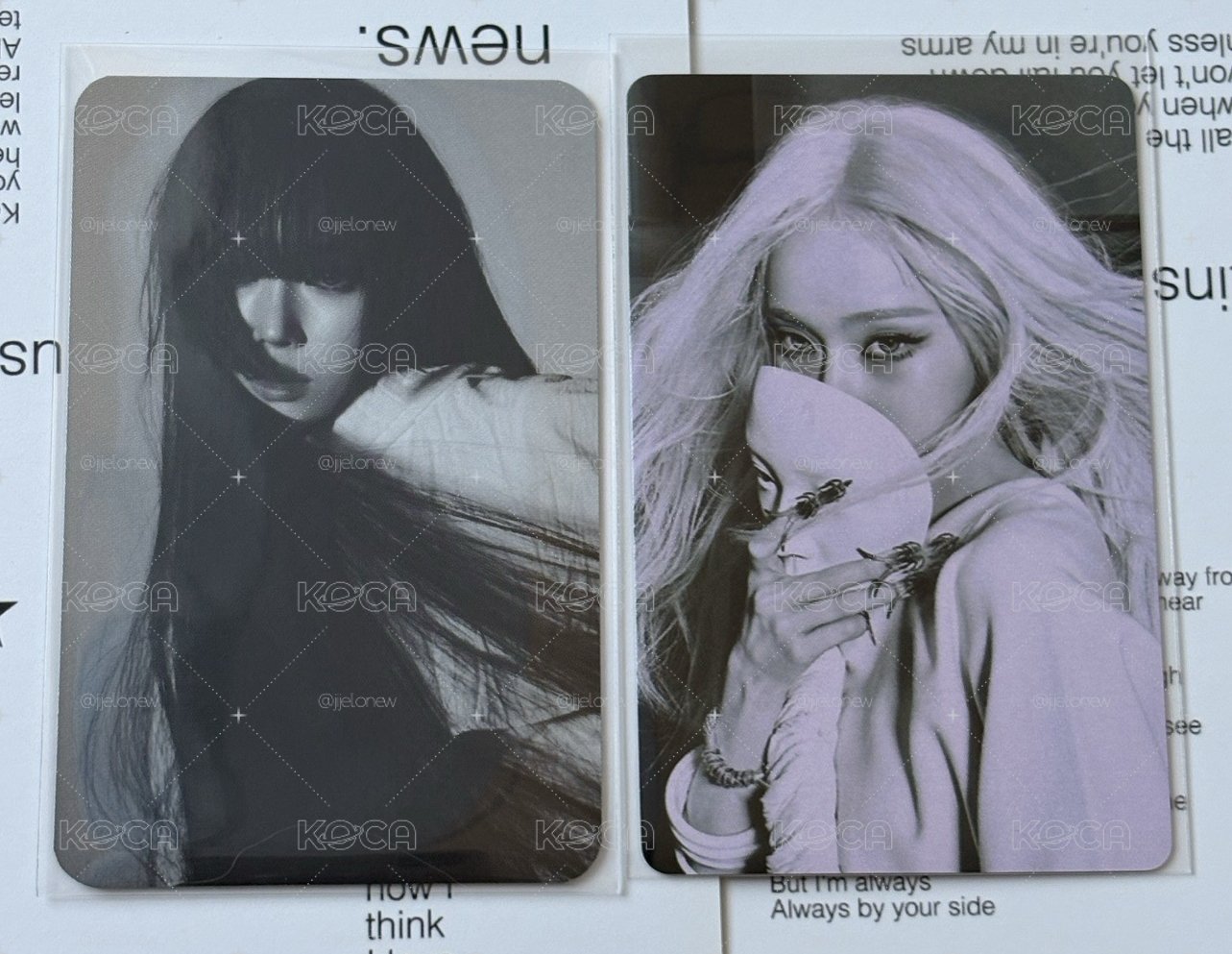 lemonade官拍冬冬❄️