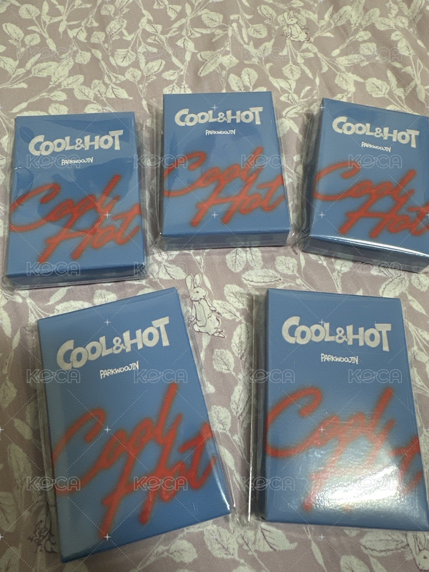 朴佑鎭solo專