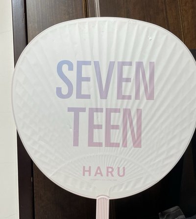 2019HARU團扇（大損
