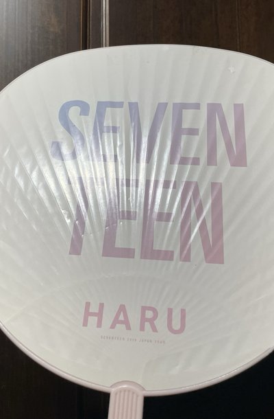 2019HARU團扇（大損
