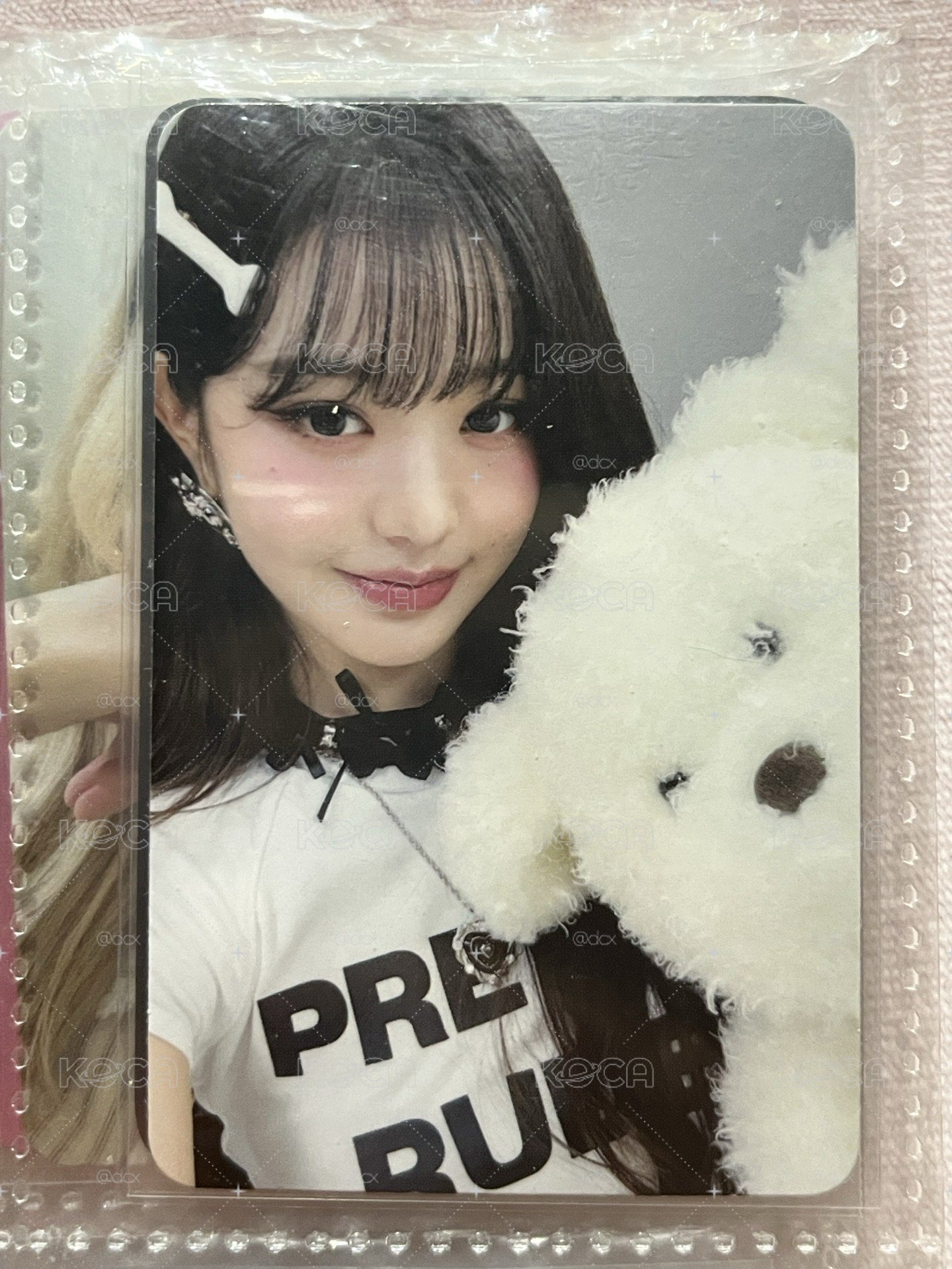 IVE 張員瑛 Wonyoung IVE SECRET hl 狗狗員