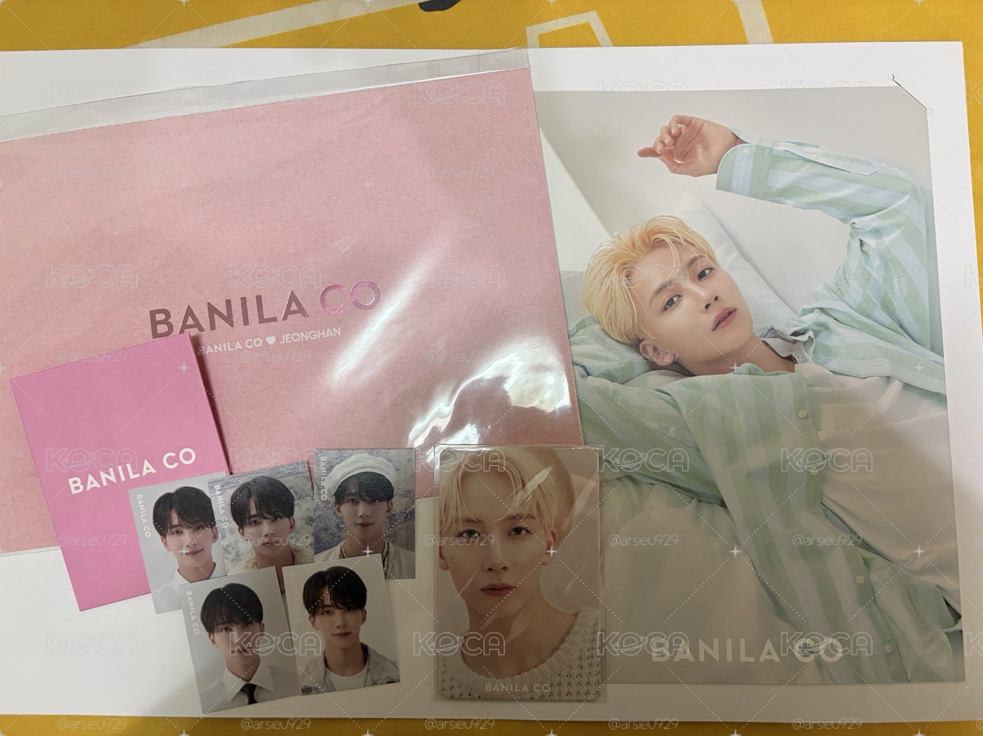 淨漢 代言卡 BANILA CO 海報、證件照、小卡、明信片
