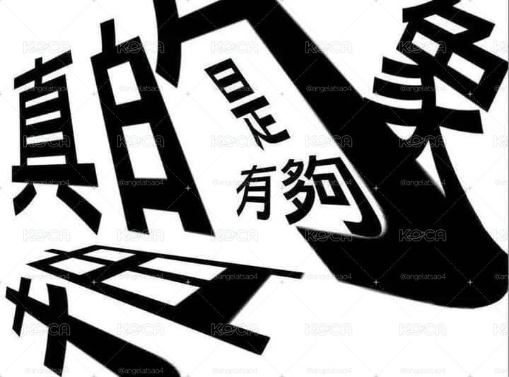 福袋 可當綁（空專、小卡、周邊）