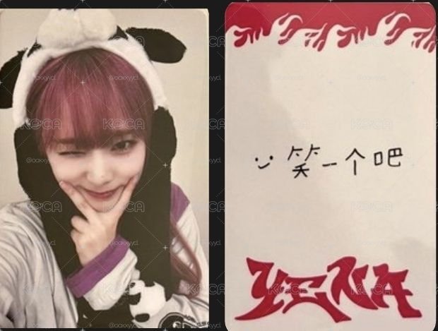 yzy 熊貓 笑一個吧