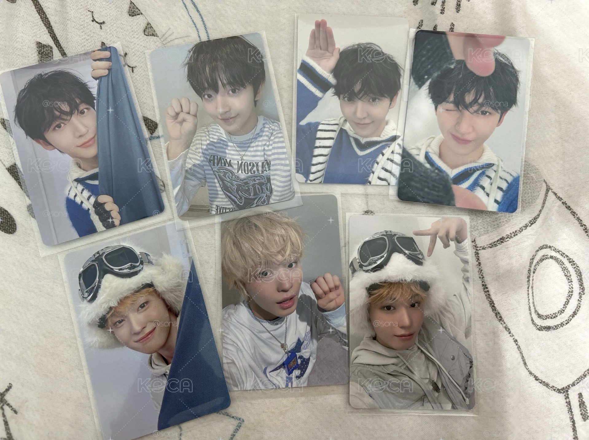 樹玹 fancon