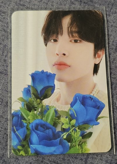 TREASURE in the NIGHT GARDEN SO JUNGHWAN 🐮