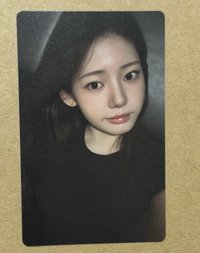 茶