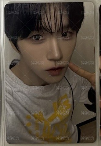 otl ny 
