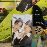 俞真秋天