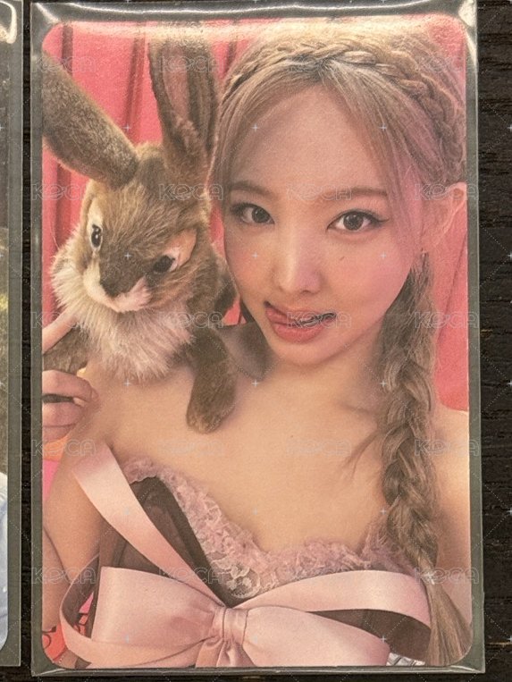 兔子