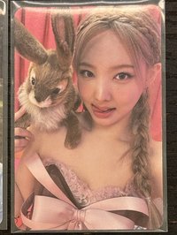 兔子
