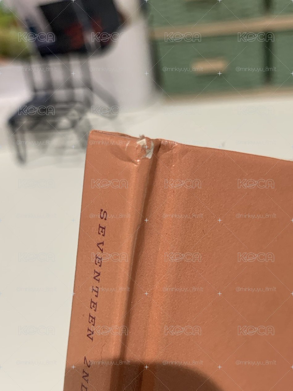 Seventeen 全專（有損！）