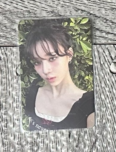 美網專卡冬
