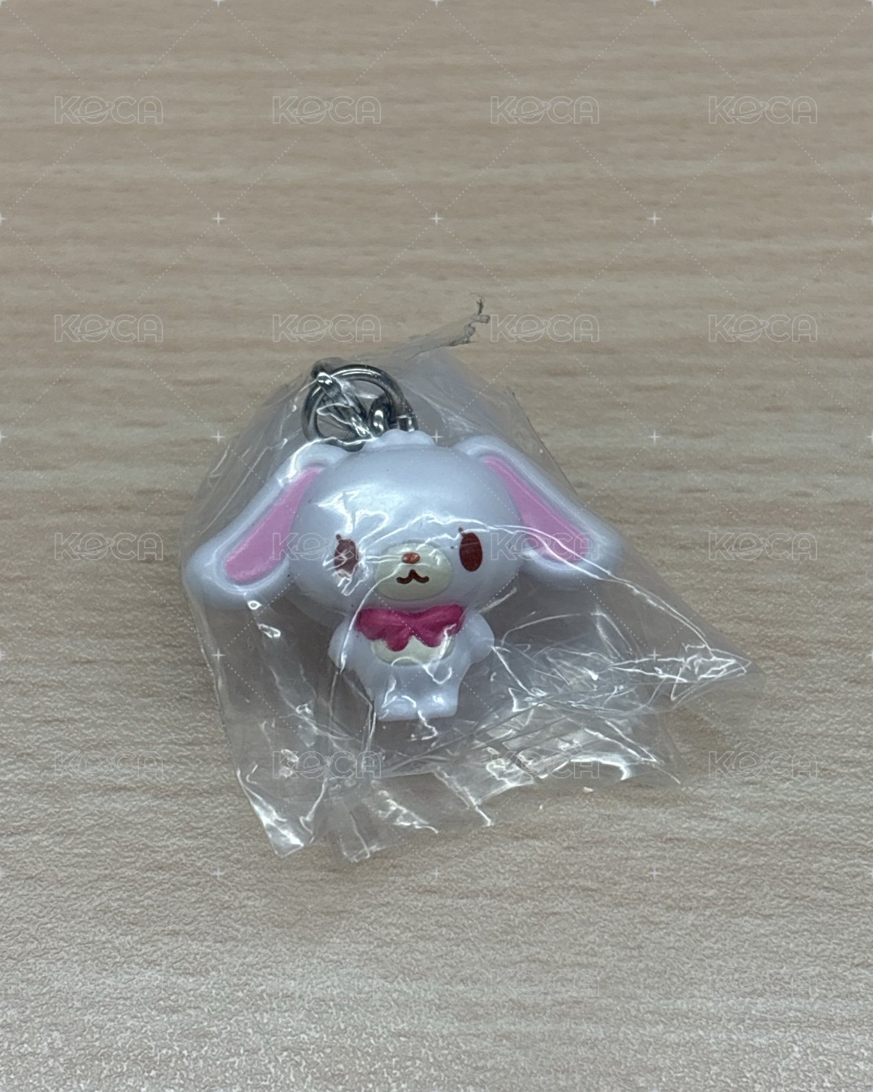 蜜糖🍬邦尼