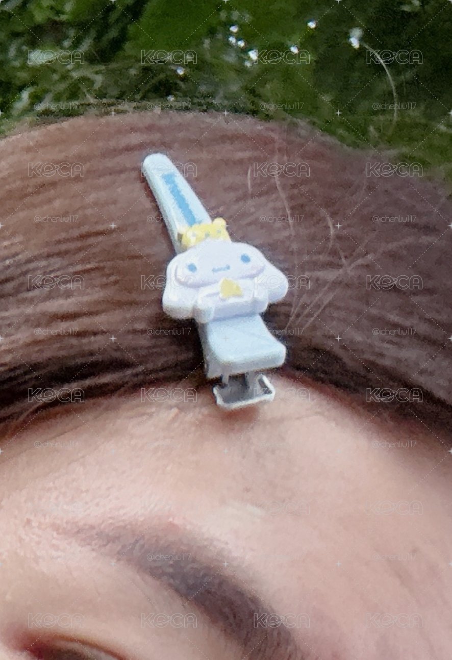✨現貨✨SANRIO 三麗鷗 迷你髮夾盲盒