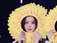 紗夏狗