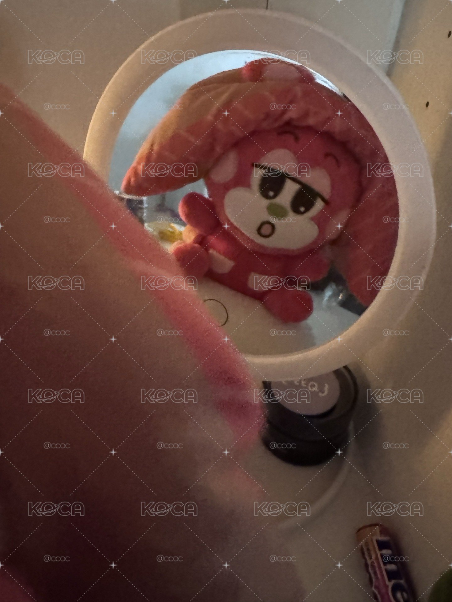 日本 壽司娃 栗子扣