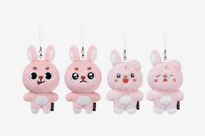隨機娃🐰