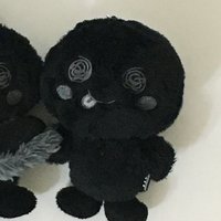 黑皮笨石