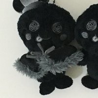 黑皮皇冠石
