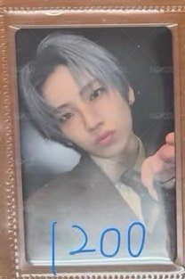 月狼sc 入場卡