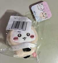 D賞）師傅皮