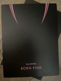 粉版bornpink 
