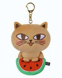 OKCAT