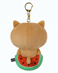 OKCAT