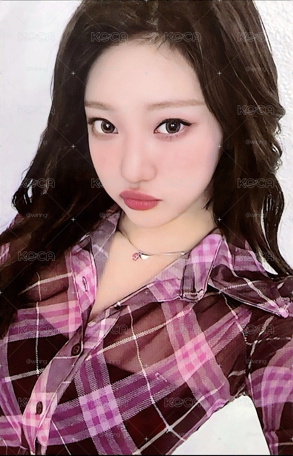 🍇寧