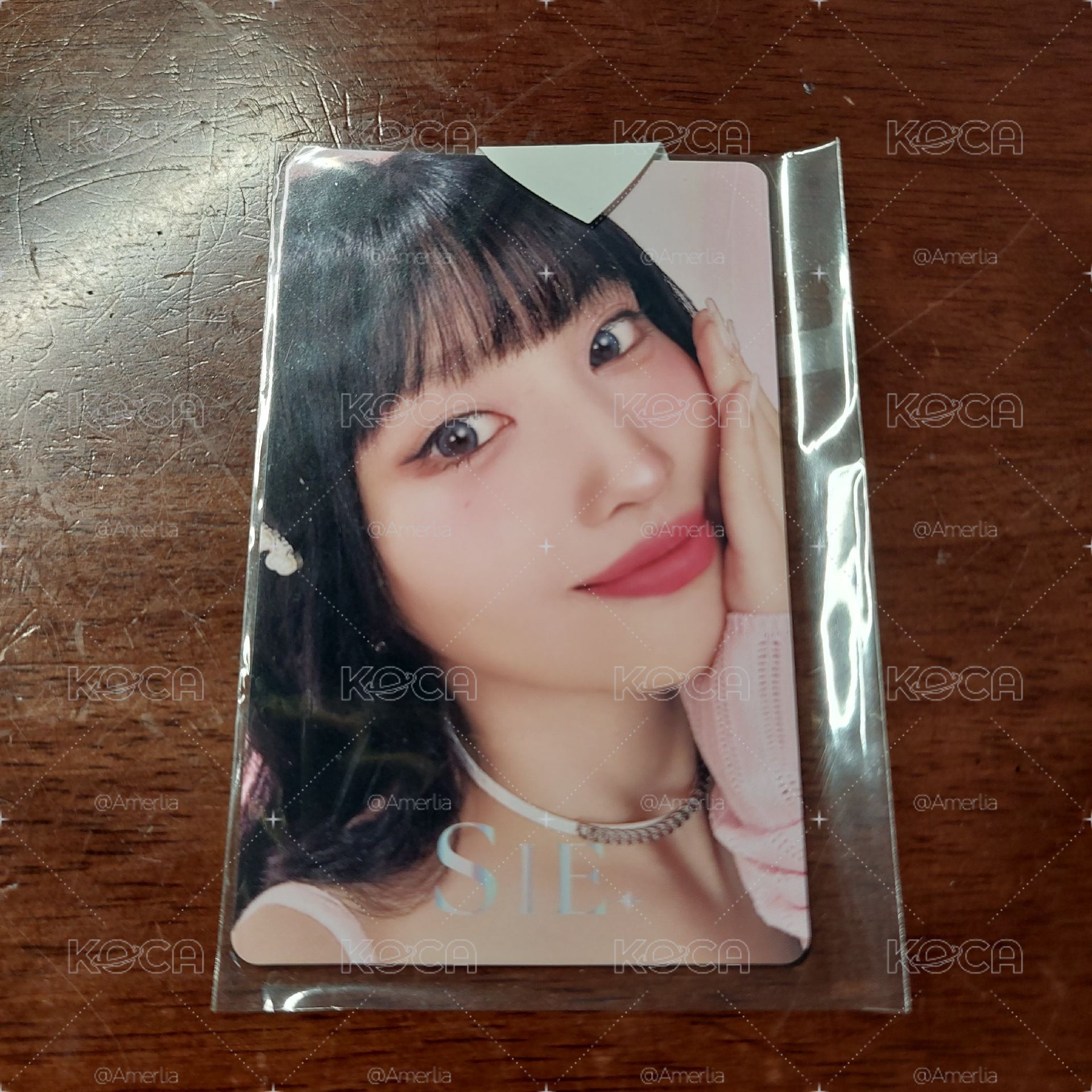 20元起標 MOMO X SIE. 代言卡 