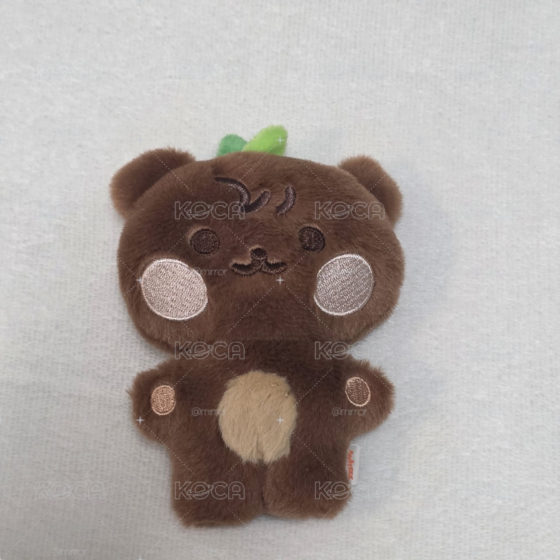 豆豆眼鍾貝爾