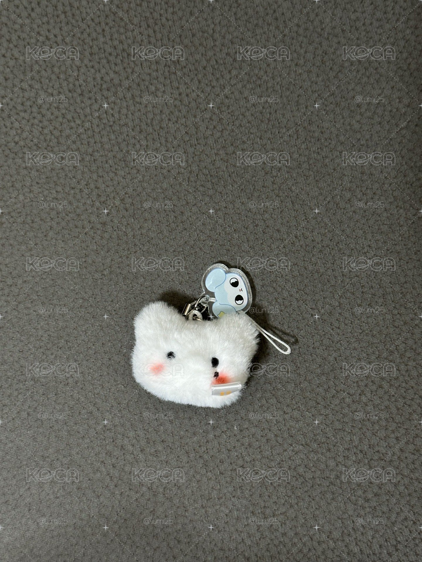 SKZ 入場禮帕皮扇、小貂吊飾