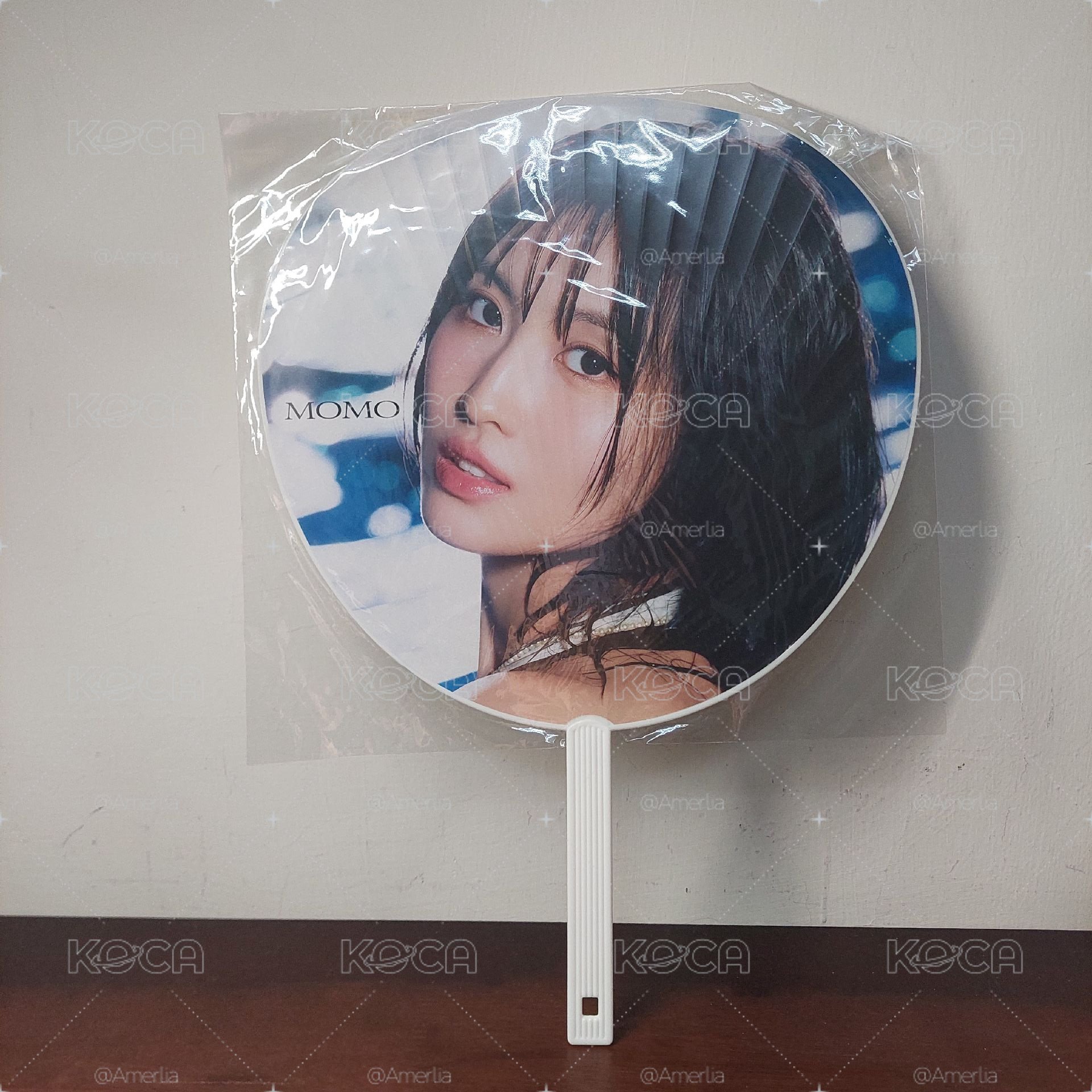 20元起標 Momo DIVE JP正規五 扇子 