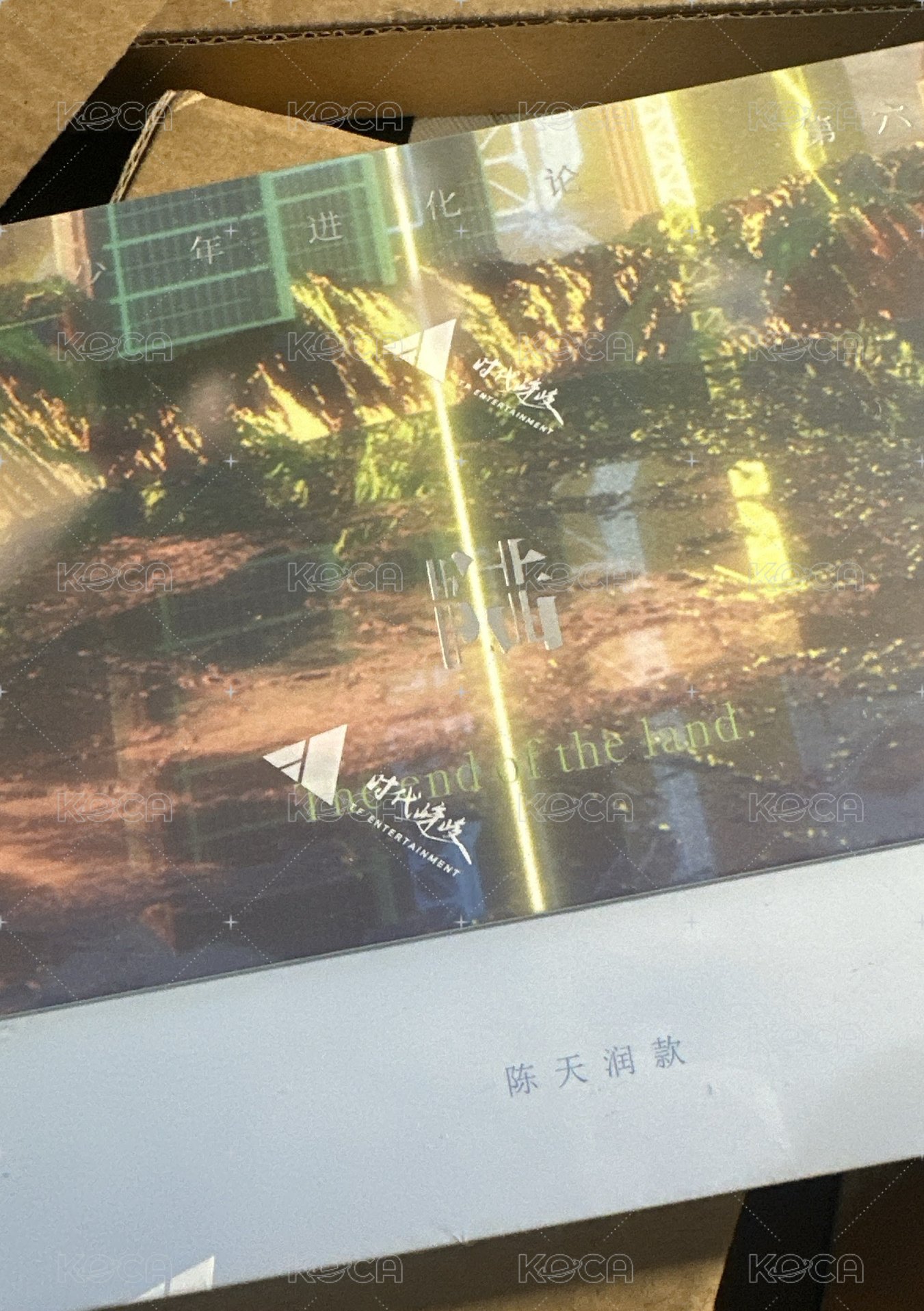 陳天潤