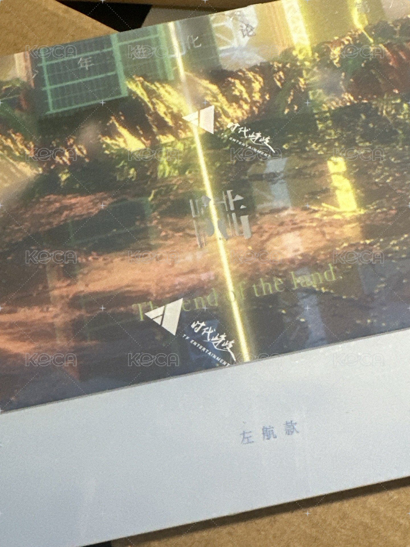 左航