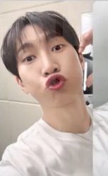 snapism 人生四格卡 / 拍貼 