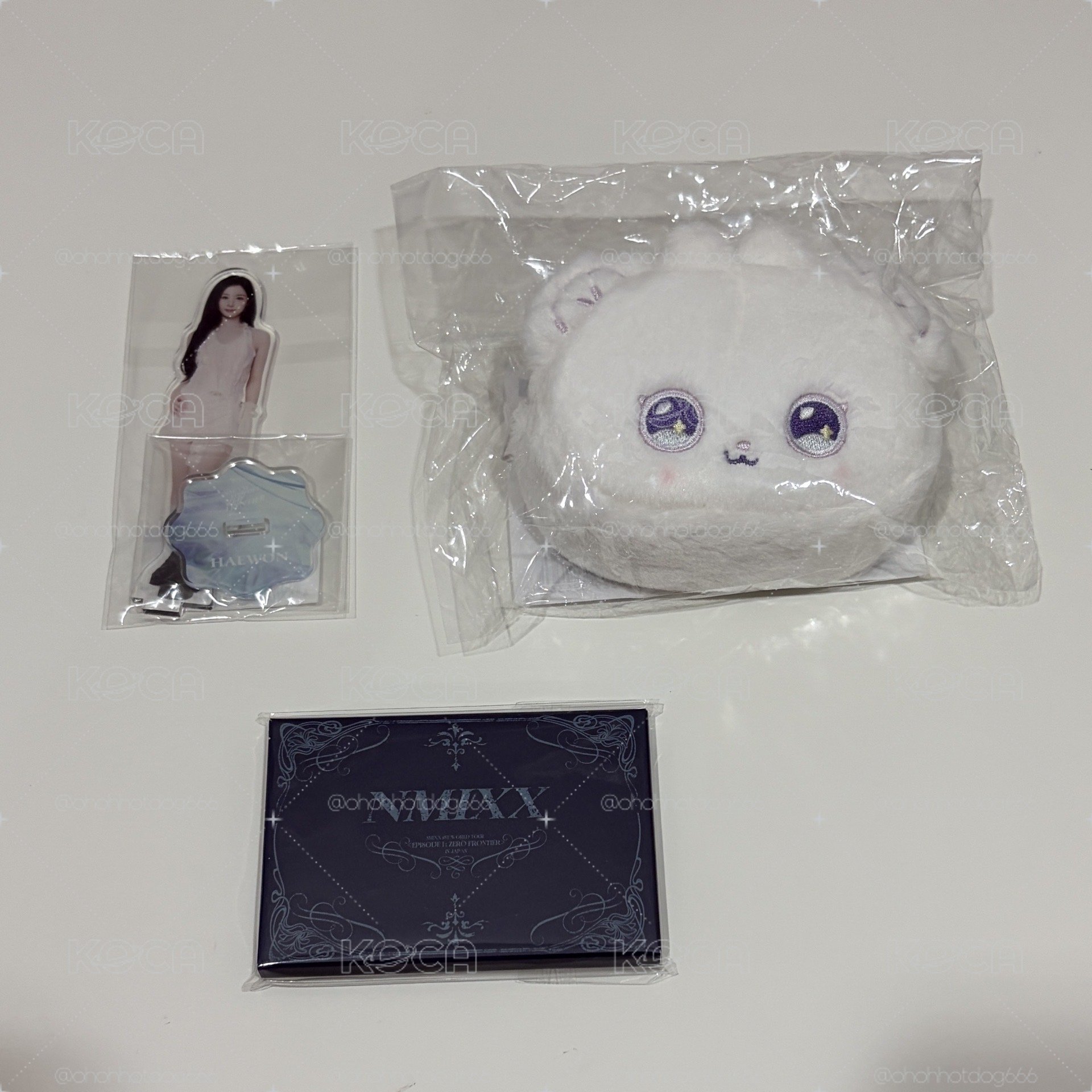 NMIXX 日場週