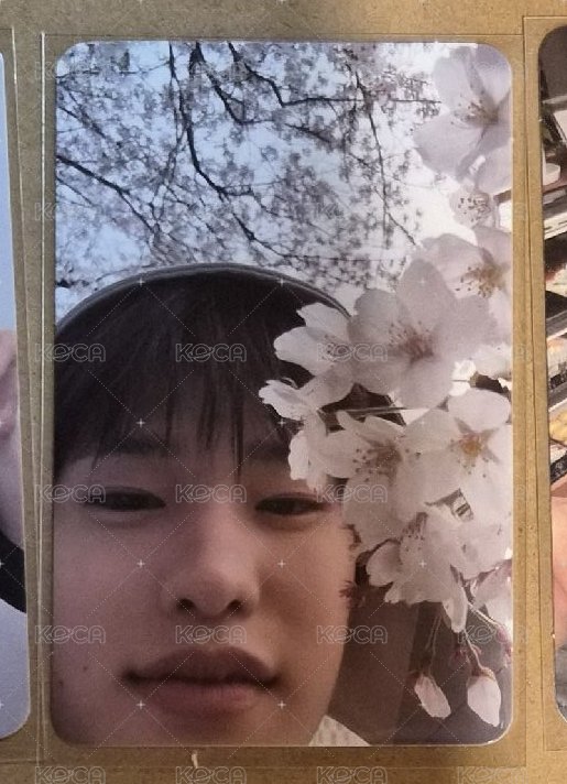 謎之角度李炤熙