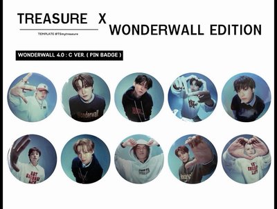Treasure wondereall 4.0徽章